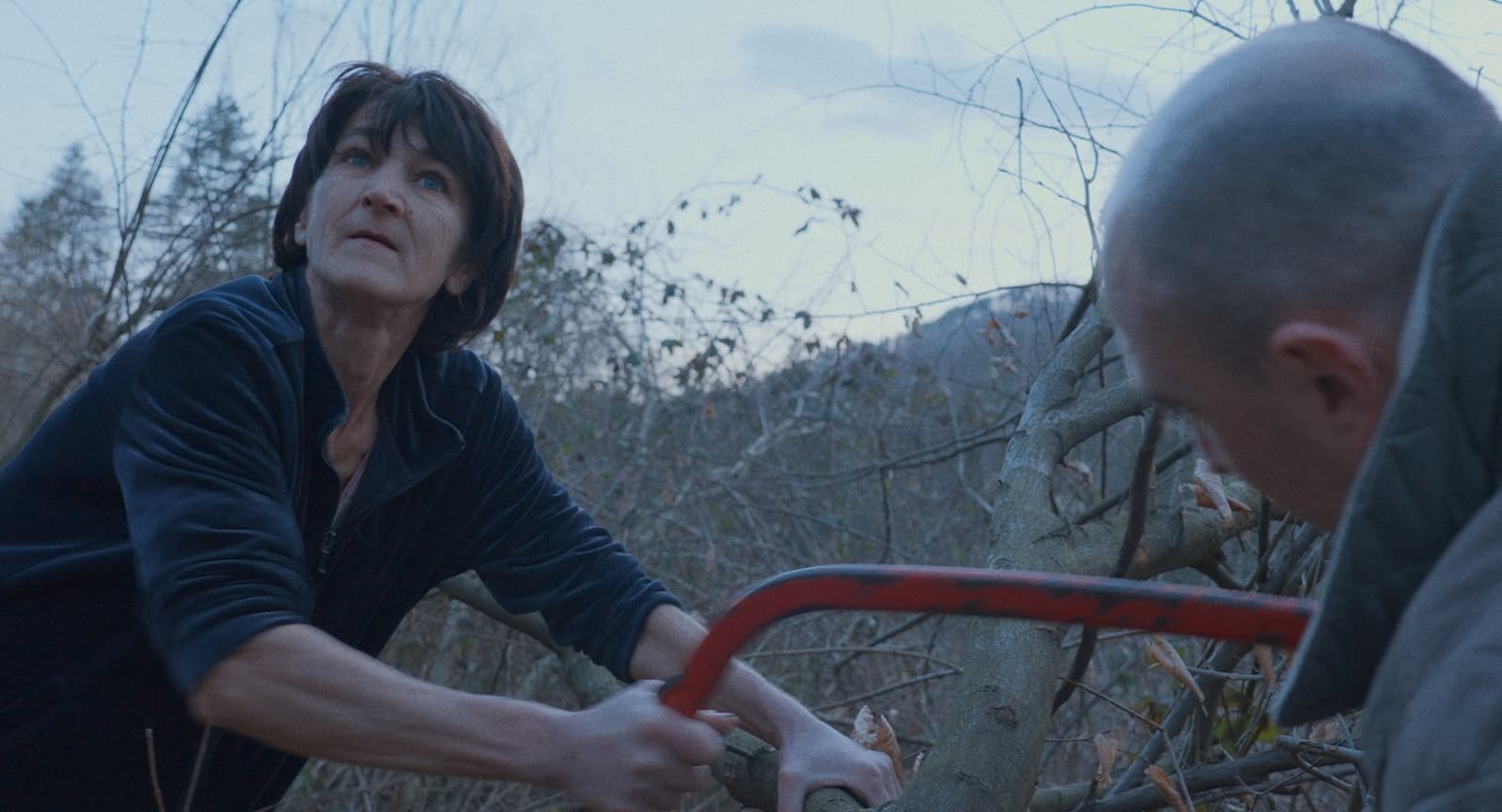 prizor iz filma Prekinitev ognja