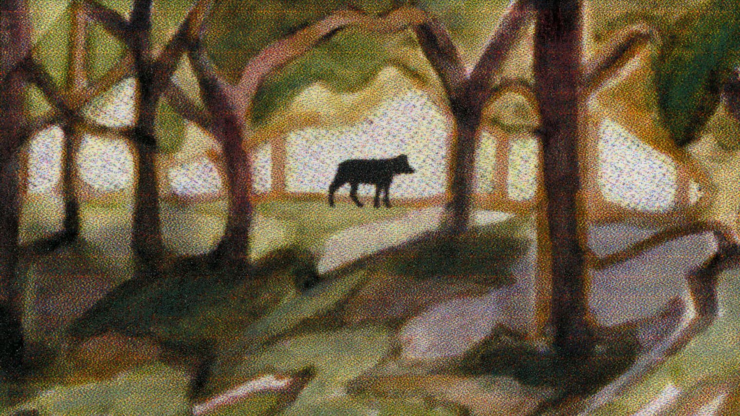 Zootrope