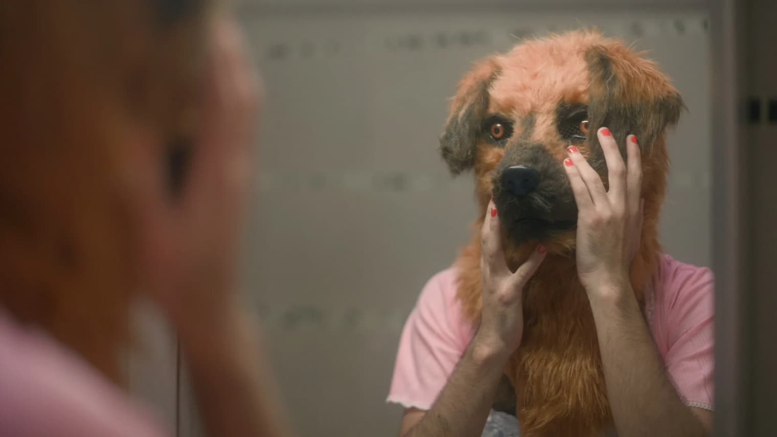 prizor iz filma Alma perra