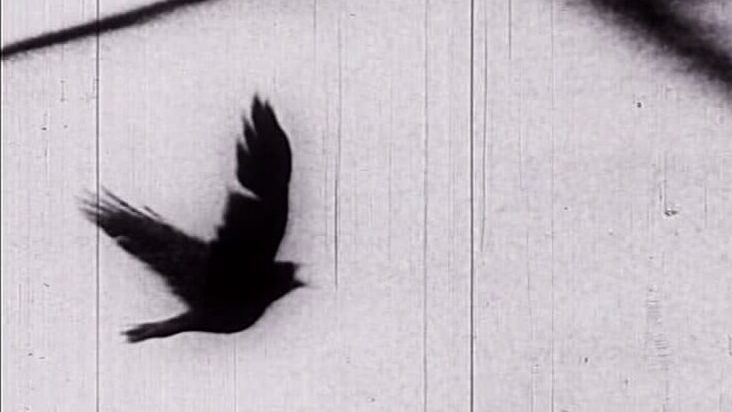 prizor iz filma Krokar