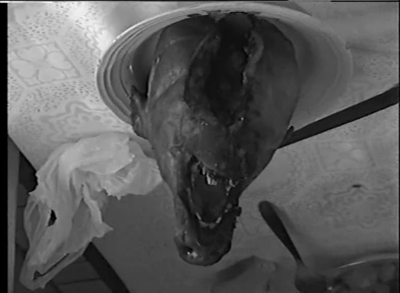 prizor iz filma Intermezzo