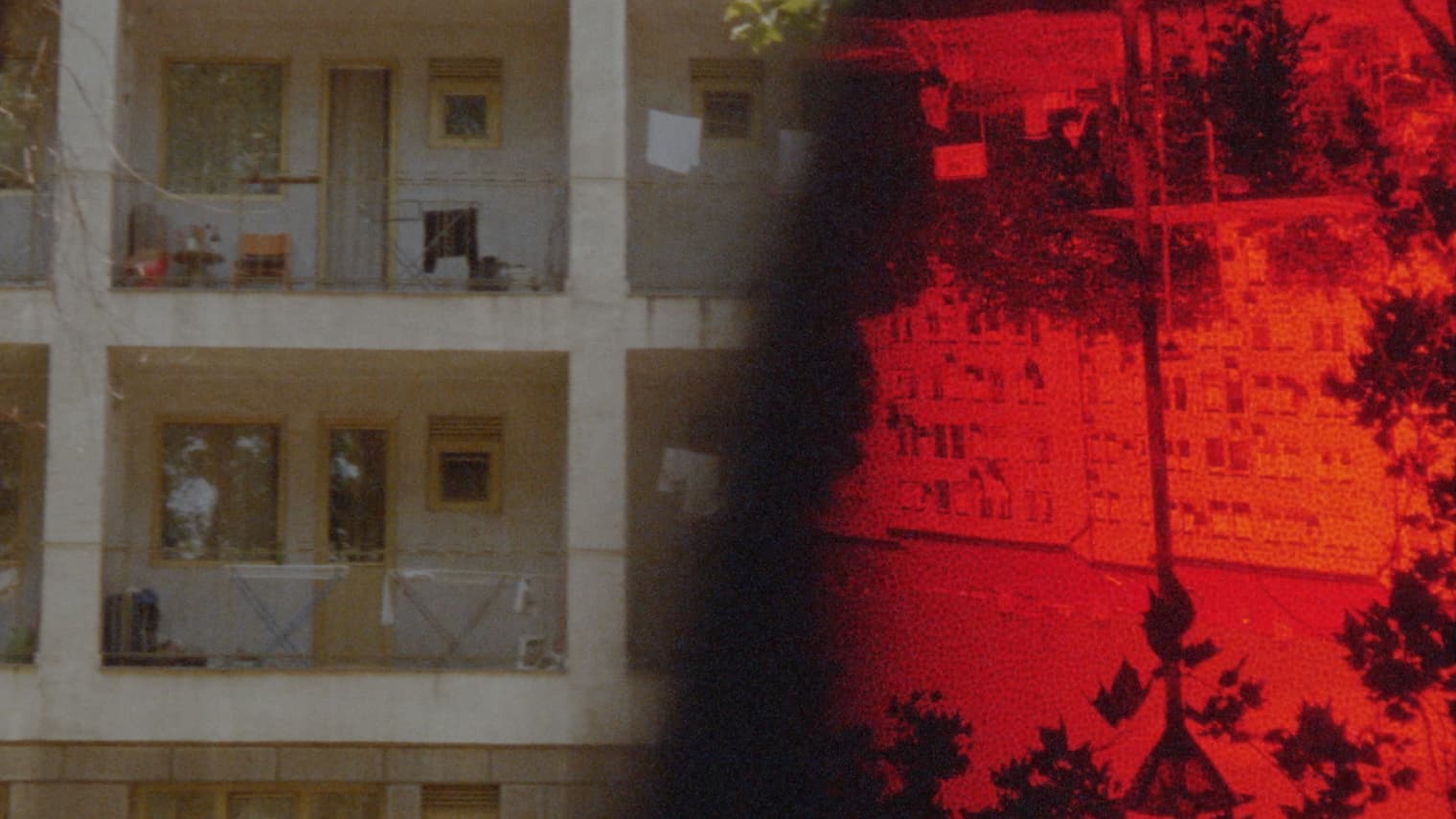 prizor iz filma Surfacing Images