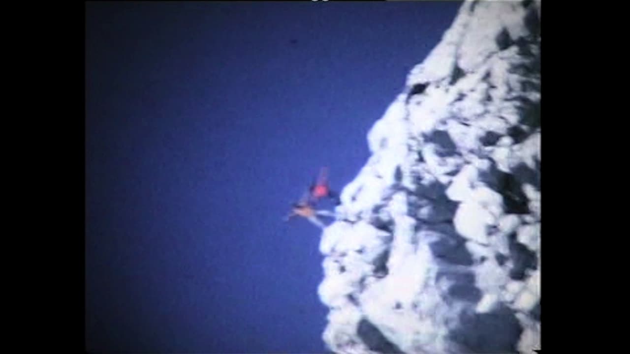 prizor iz filma dogs, moon river and Baudelaire