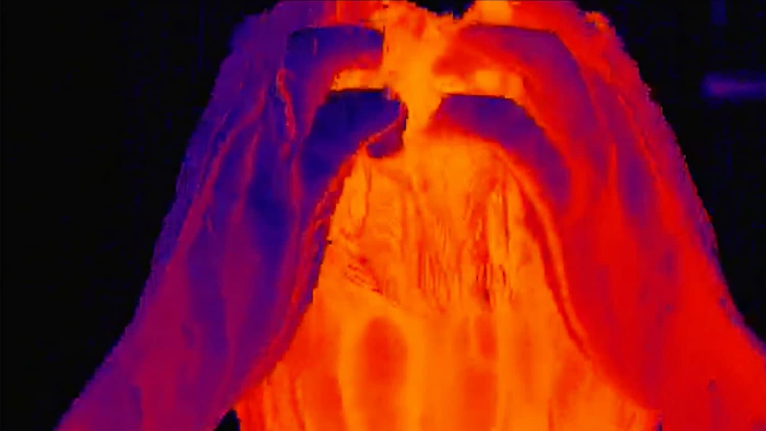 prizor iz filma Pobeg skozi kukavičje gnezdo