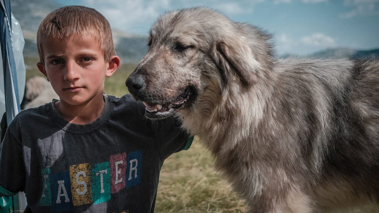 prizor iz filma Poletne počitnice