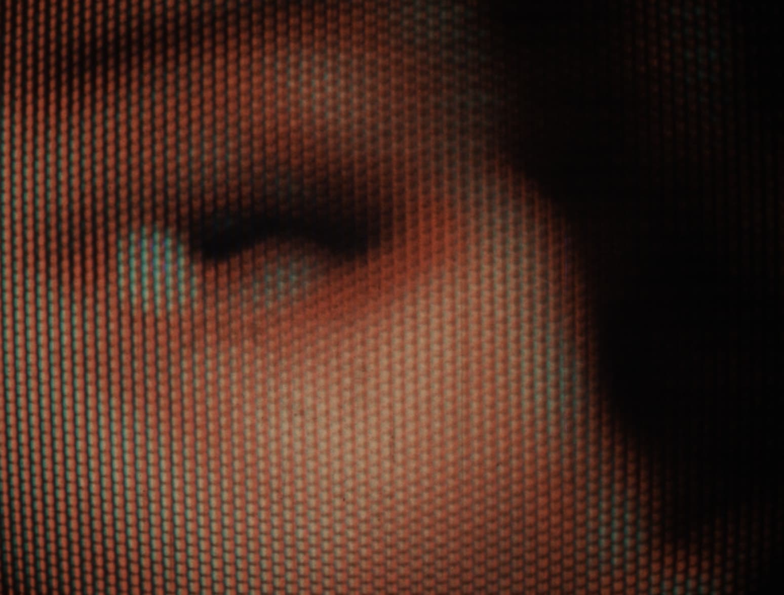 prizor iz filma 805 Hommage