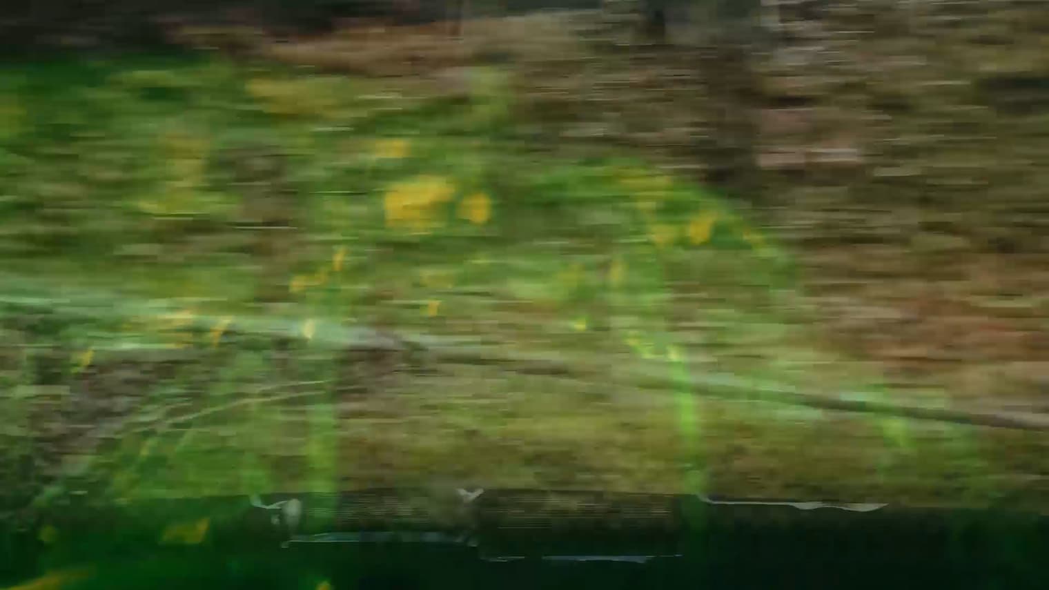 prizor iz filma En kos