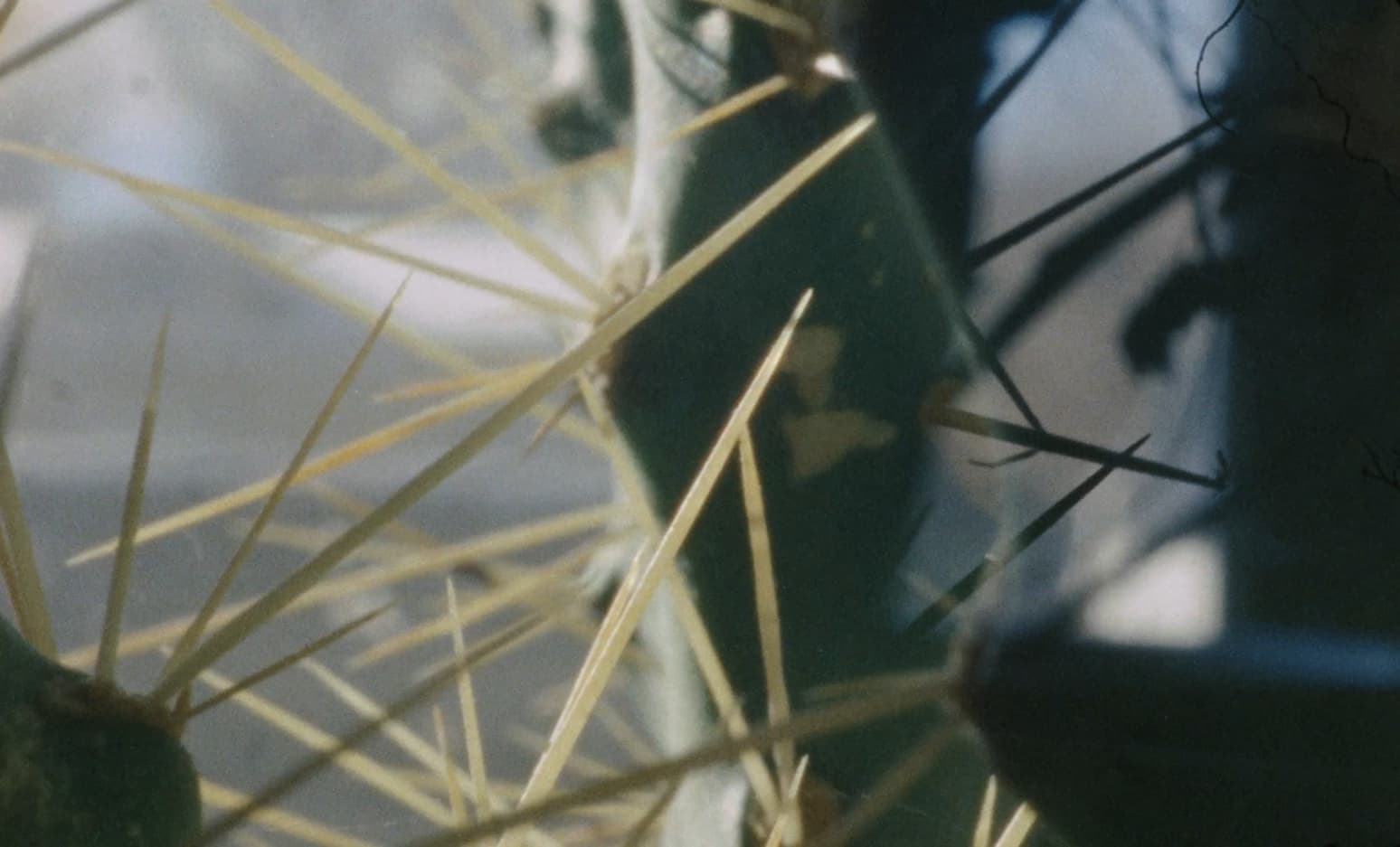 prizor iz filma Poloble