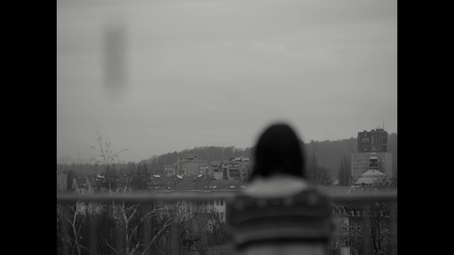 prizor iz filma Momljava vandranja