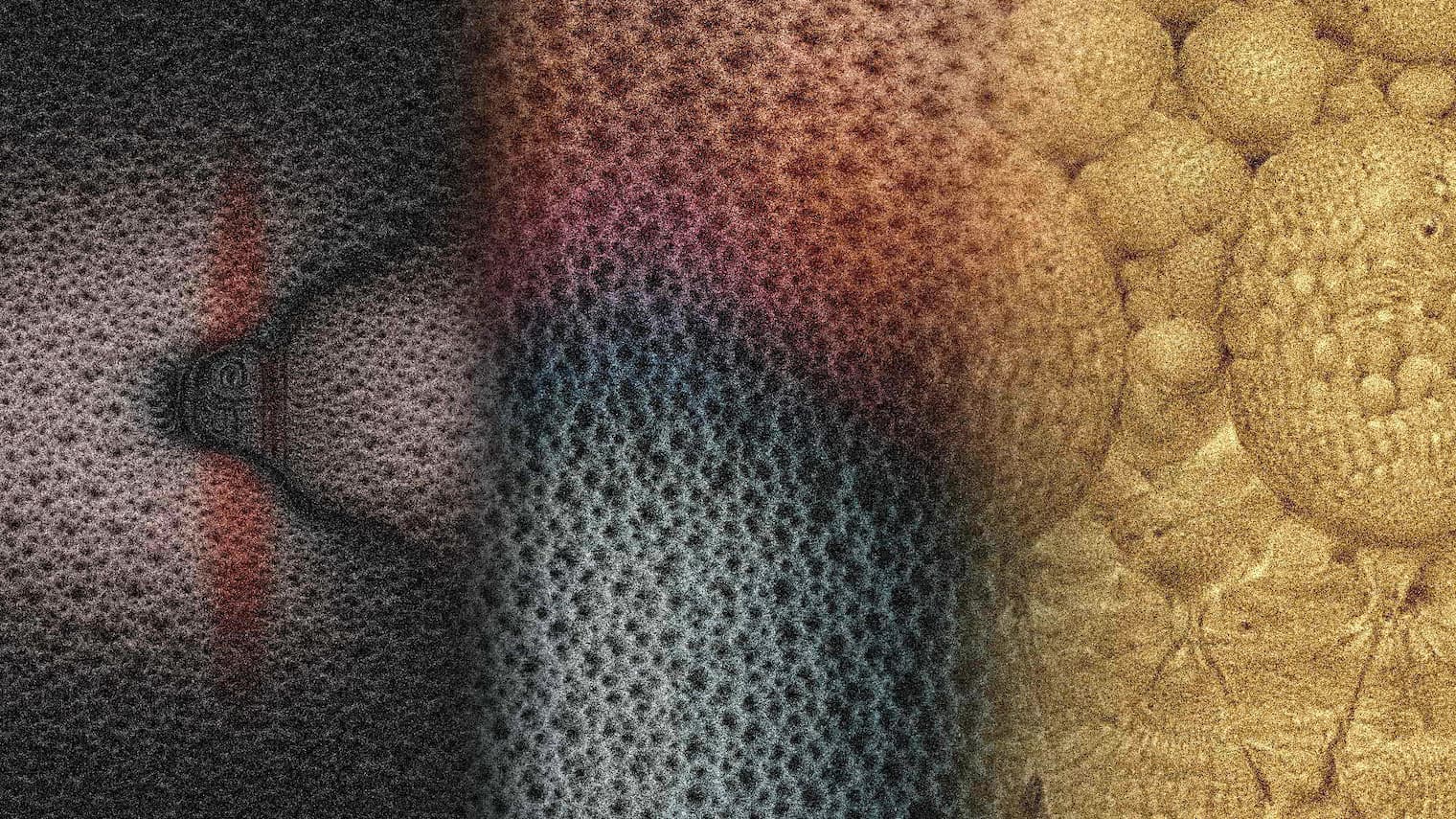 prizor iz filma Vrt električnih naslad