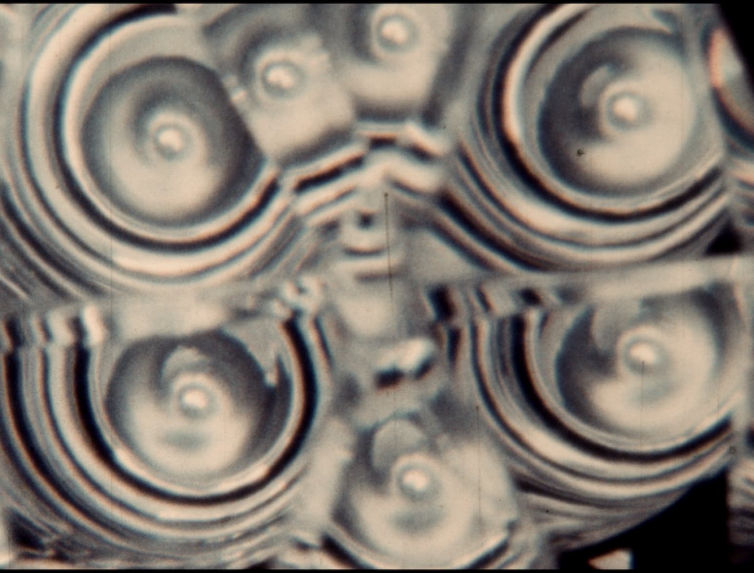 prizor iz filma Wizzard Of Changes - Pozdrav 1. maju