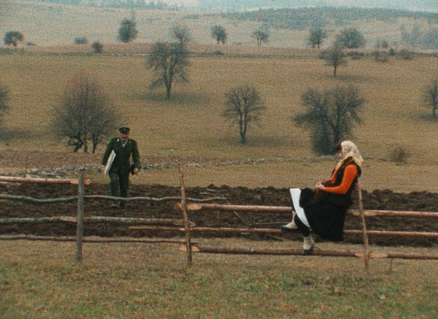 prizor iz filma Ženska s pokrajino